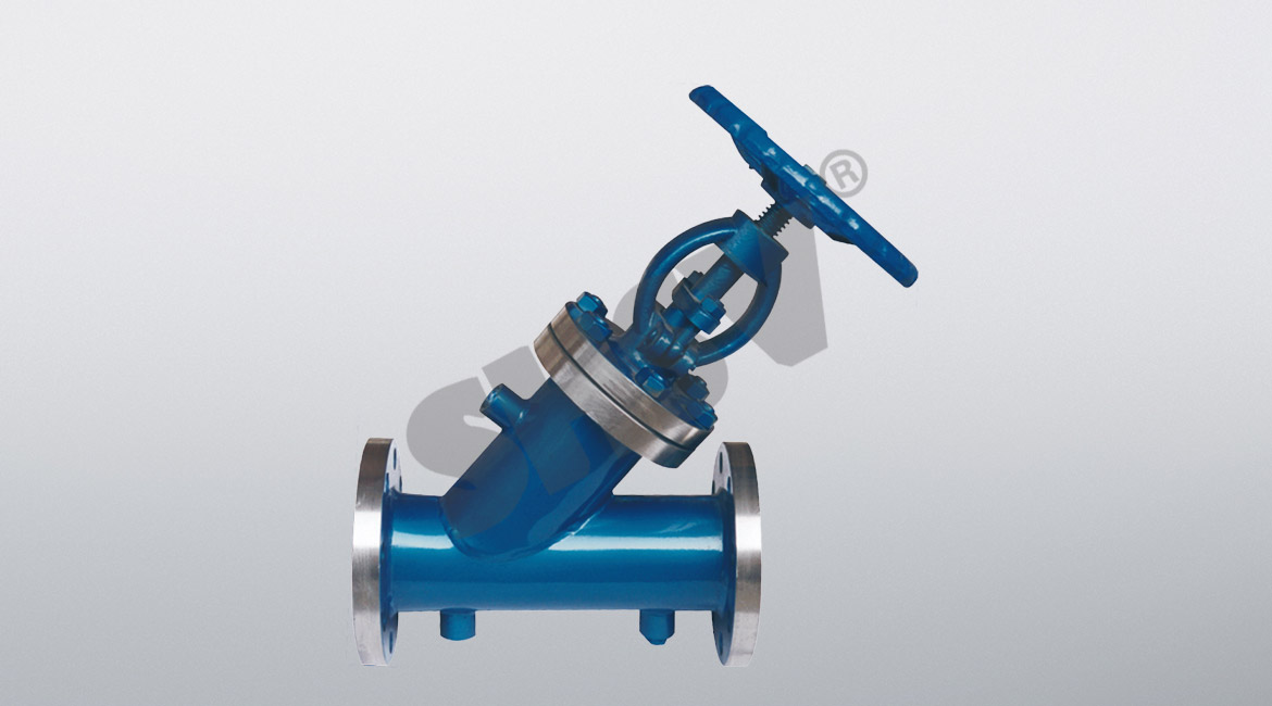 Insulated globe valves