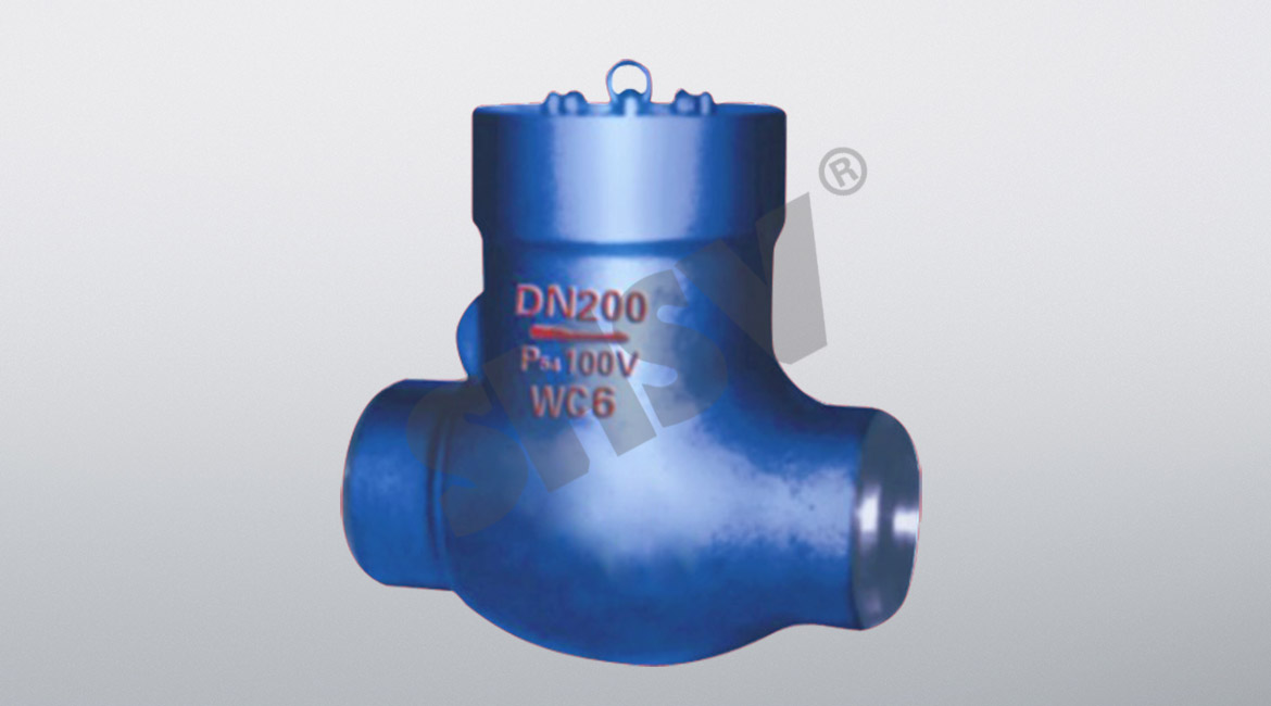 Power station check valve