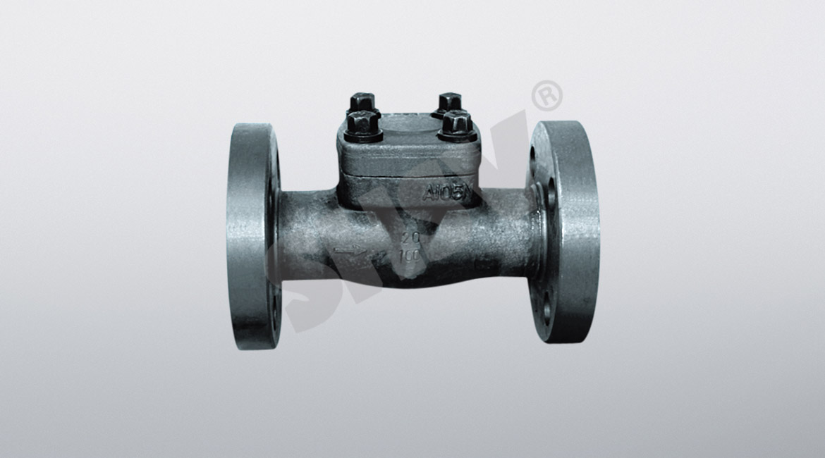 American Standard forged steel flange check valve