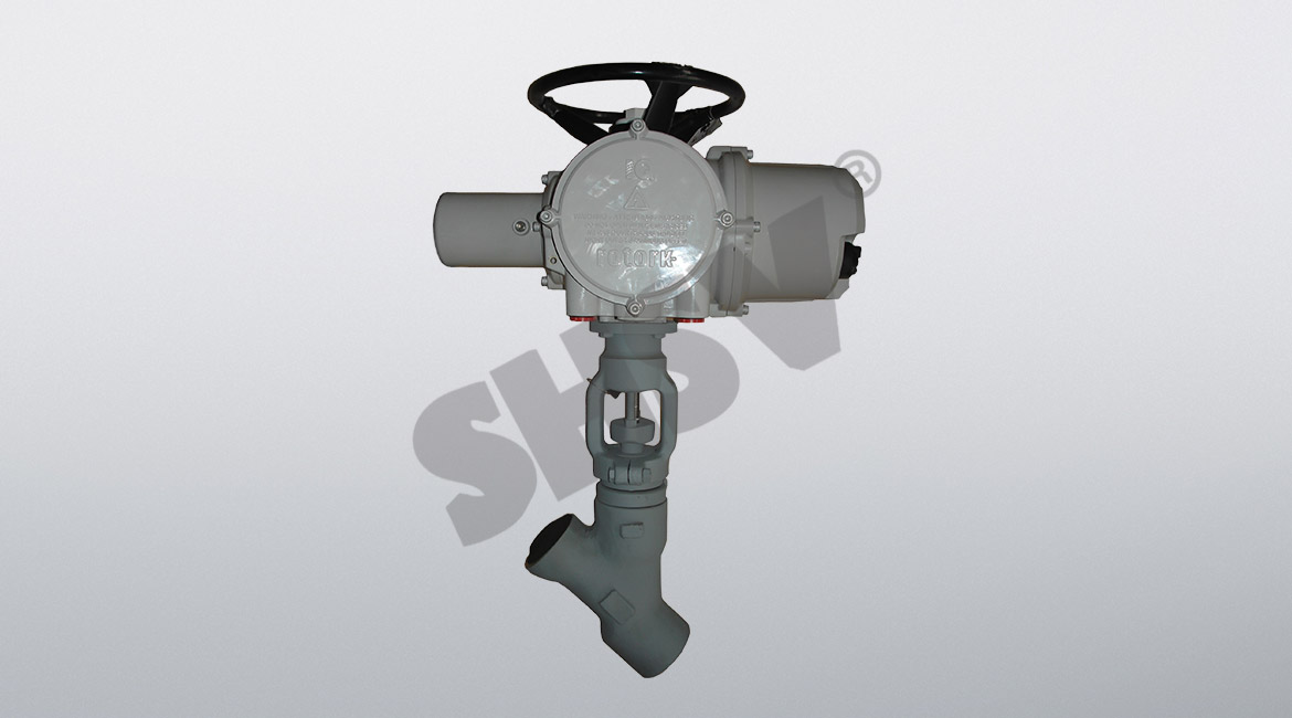 Pound Y-type globe valve